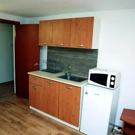 호텔 Хотел Черноморец 2*