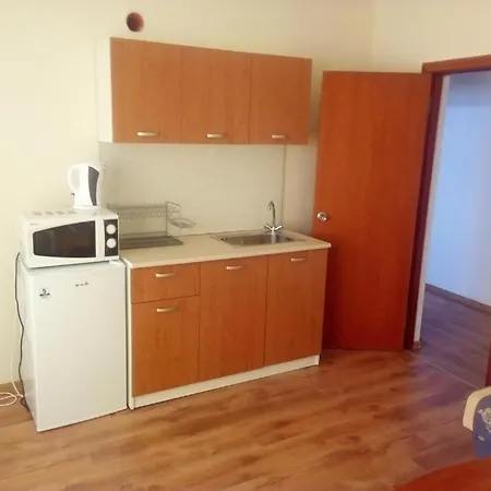 호텔 Хотел Черноморец 2*